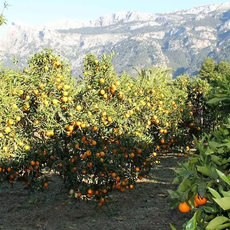 Ideal For Resting, Hiking Or Biking Sóller